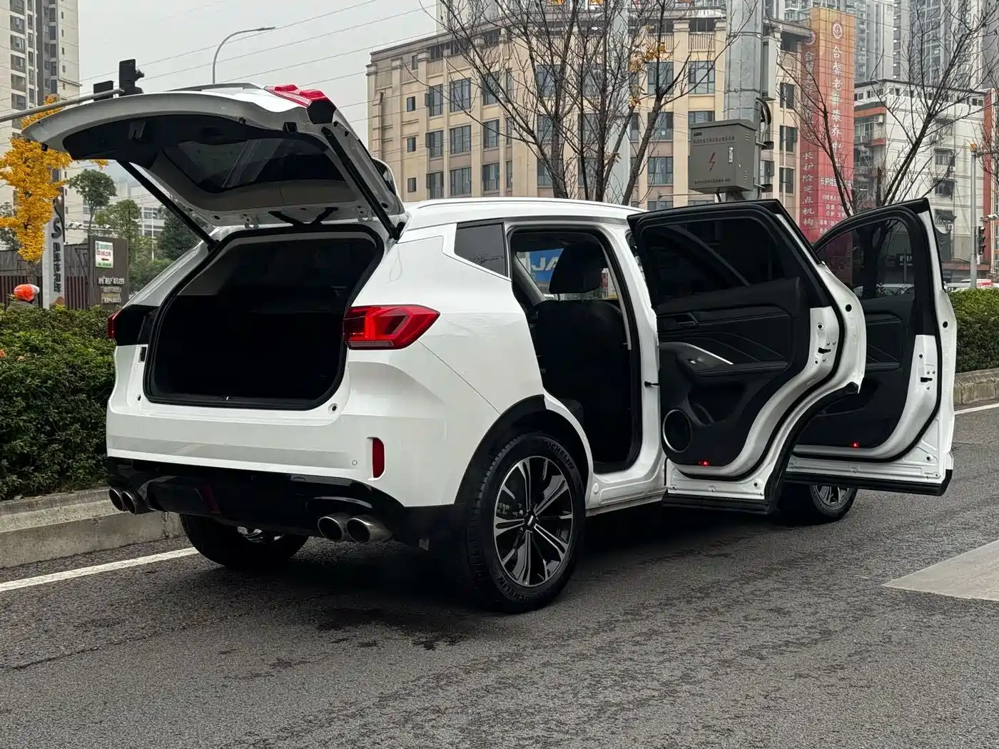 WEY VV6 2021 2021 2.0T 2WD Smart Enjoyment+