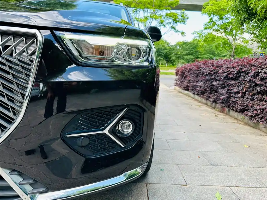 Haval H6 2021 1.5GDIT Automatic Champion Edition фото 11