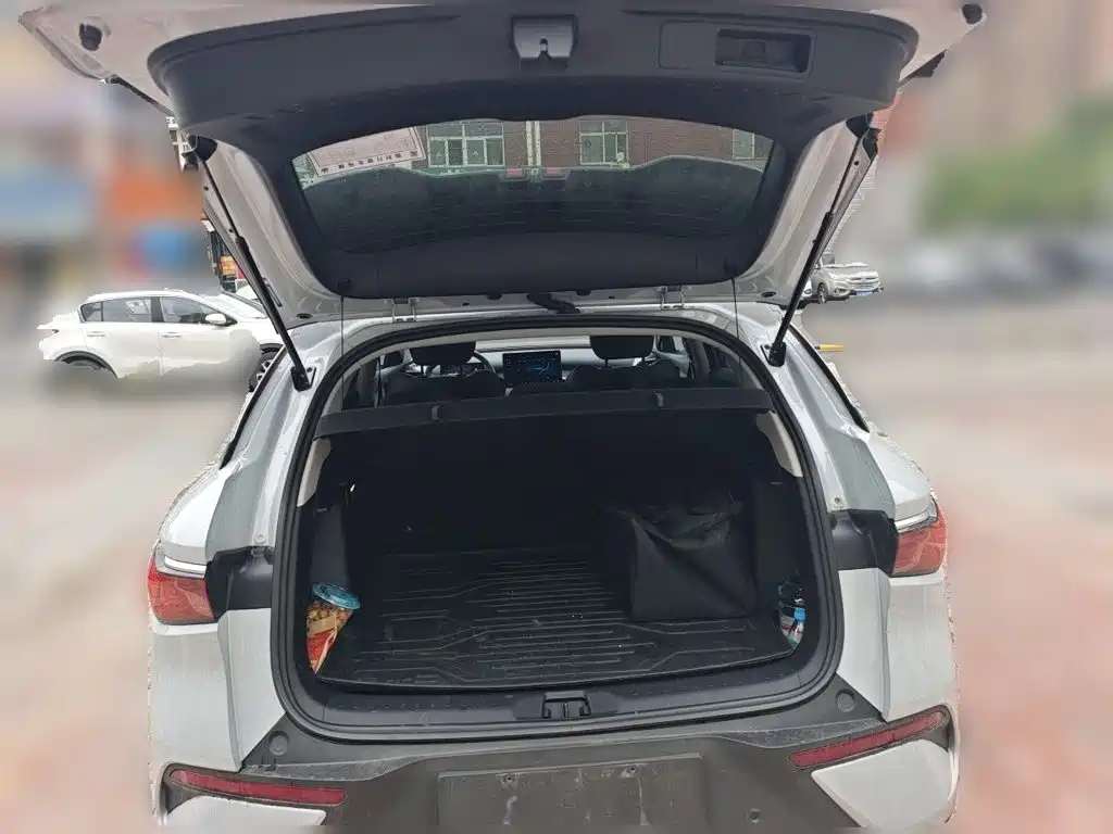 BYD Yuan PLUS 2025 2025 Smart Drive 430KM Superior