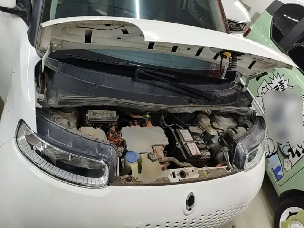 Ora White Cat 2020 2020 305km Luxury