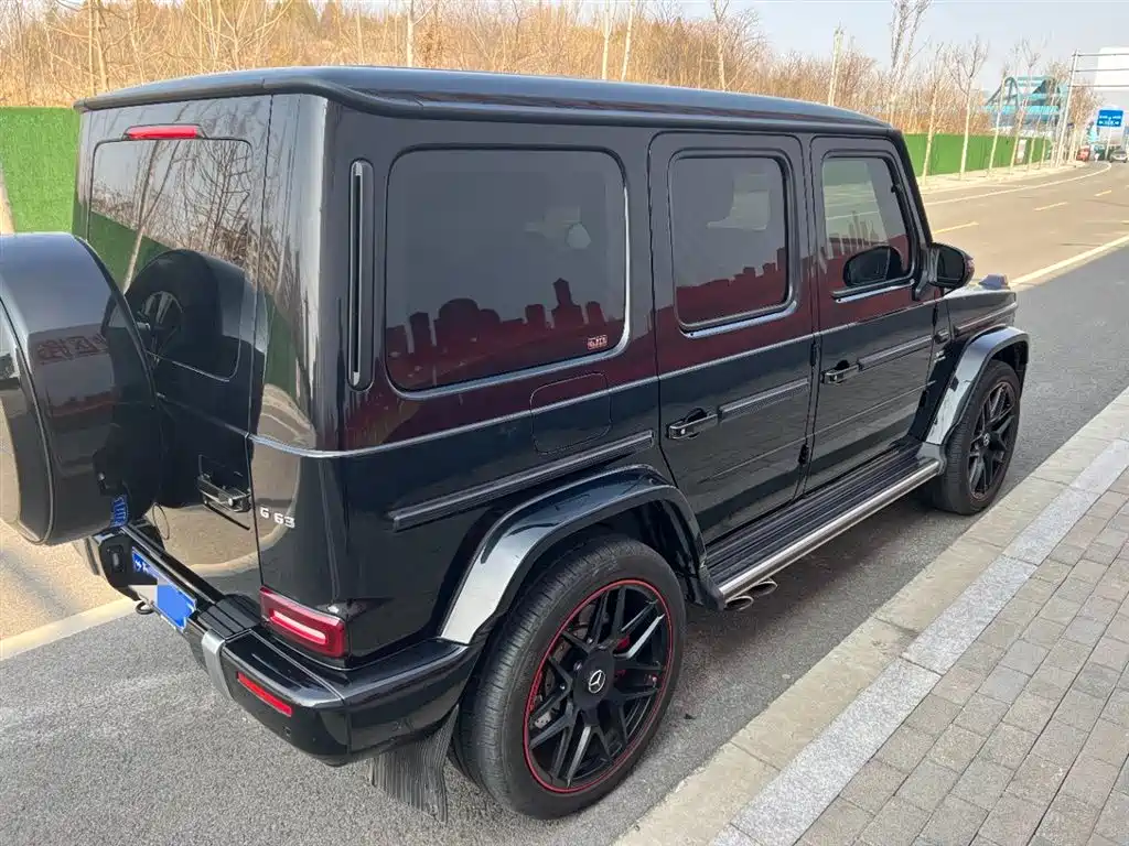 Mercedes-Benz G-Class 2019 G 500 фото 4