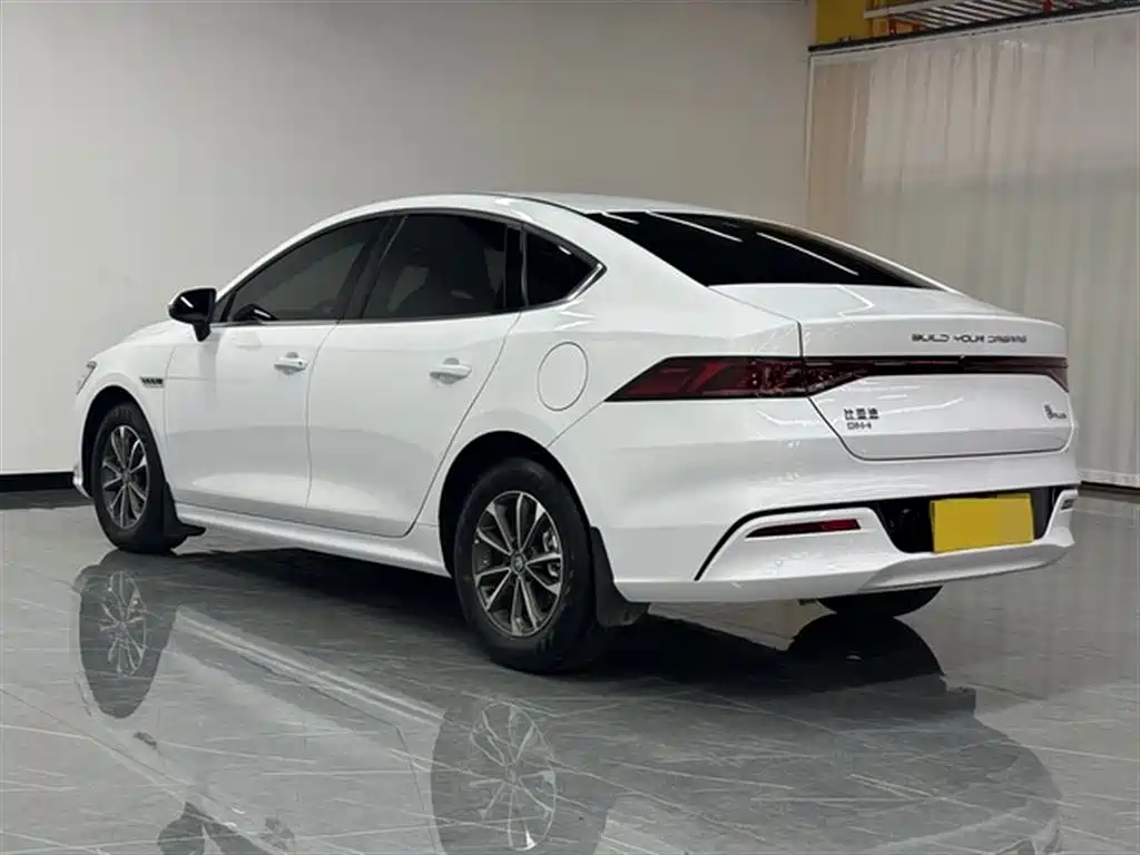 BYD Qin PLUS 2024 Glory Edition DM-i 55KM Leading фото 4