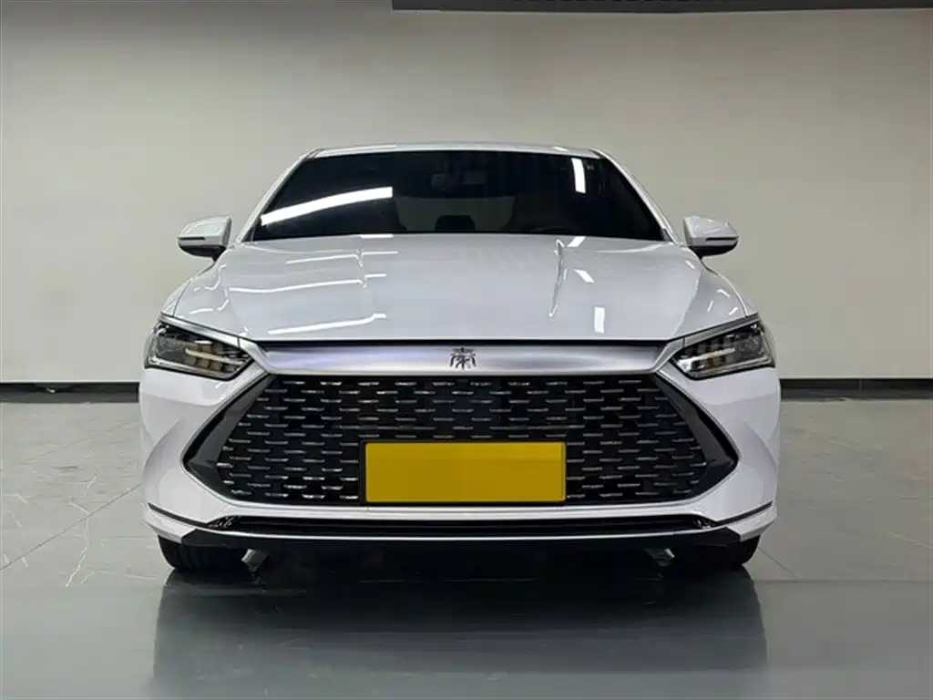 BYD Qin PLUS 2024 Glory Edition DM-i 55KM Leading фото 2