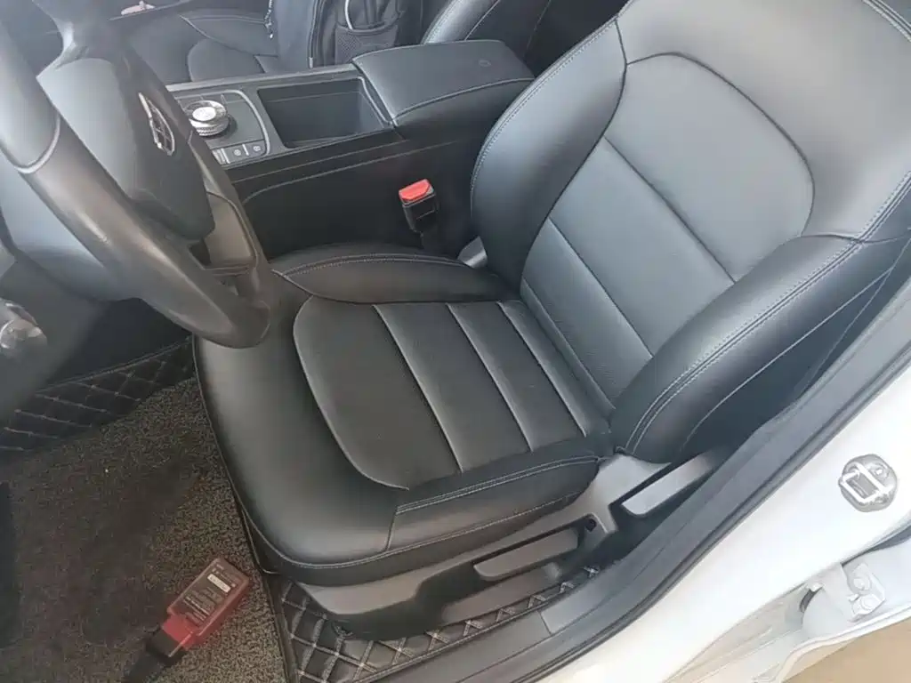 Geely Emgrand New Energy 2023 2022 EV Pro Ride-hailing Version LFP