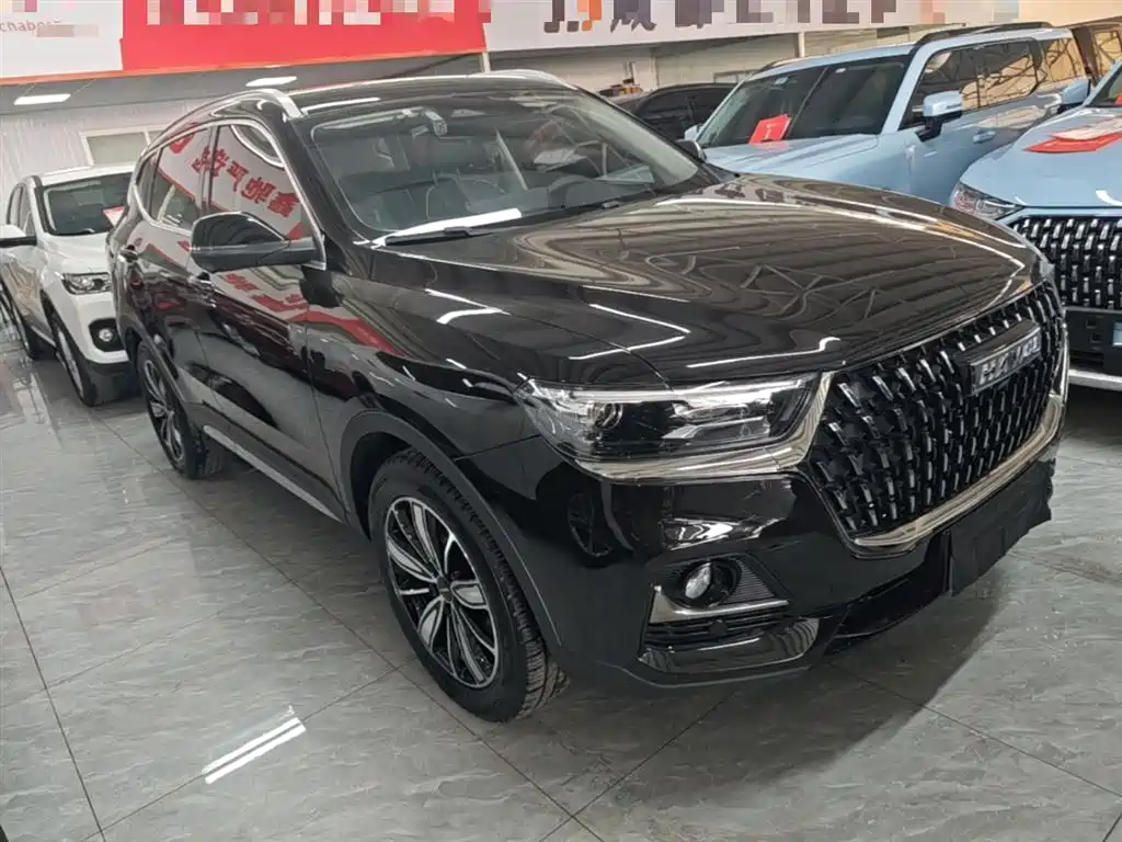 Haval H6 2023 National Trend Edition 1.5T Automatic Champion фото 4