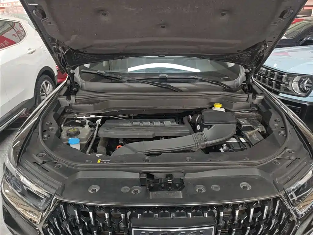 Haval H6 2023 National Trend Edition 1.5T Automatic Champion фото 20