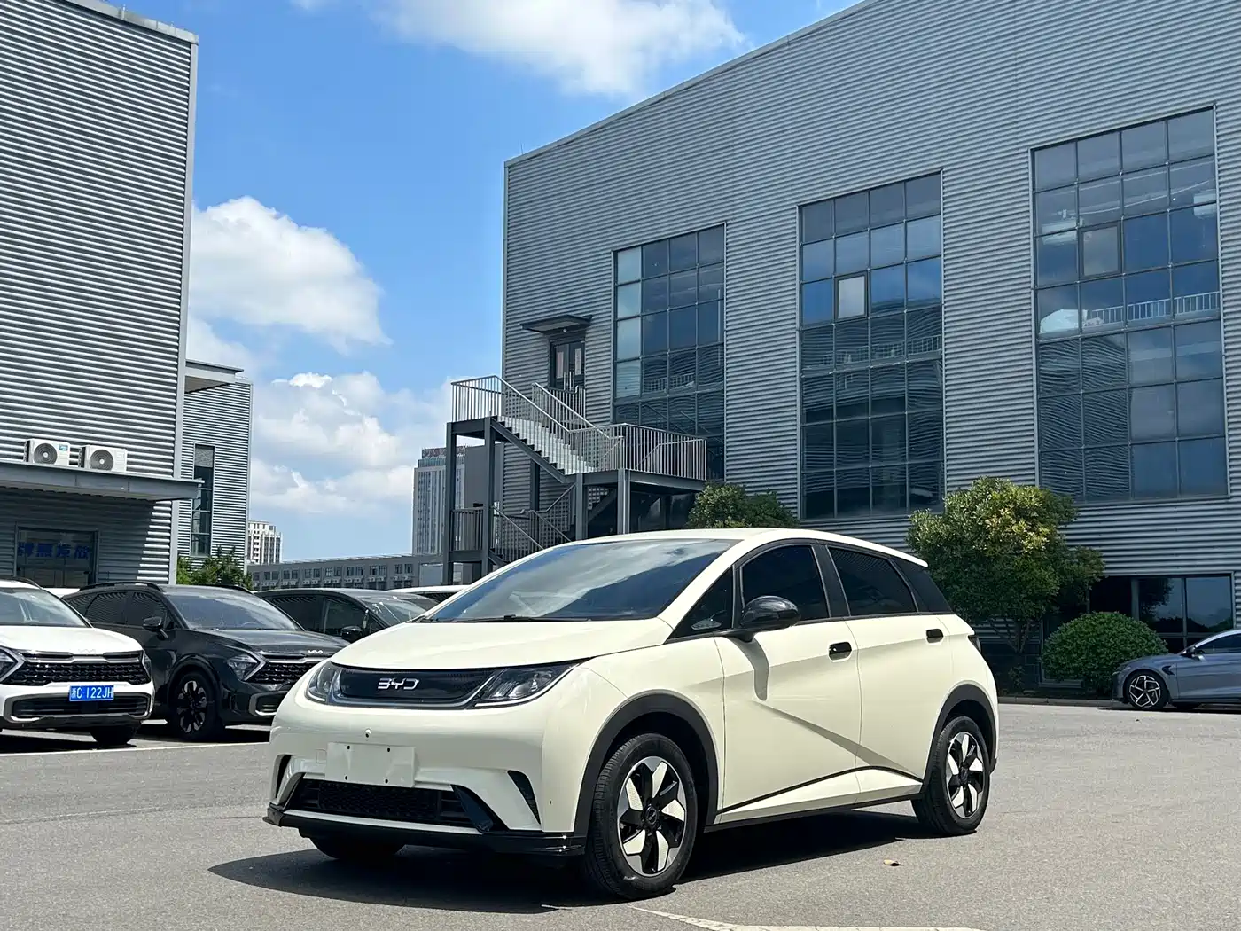 BYD Dolphin 2024 Glory Edition 420km Freedom Edition
