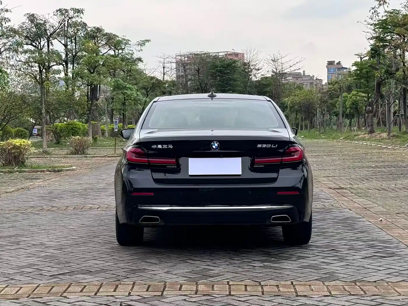 BMW 5 Series 2021 Facelift 530Li Leading Luxury Package фото 7