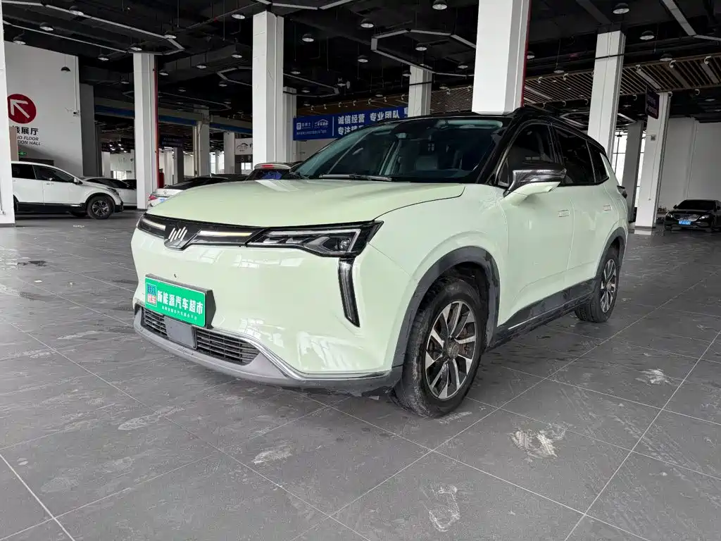 Weltmeister W6 2021 2021 520km NEX Explorer Edition