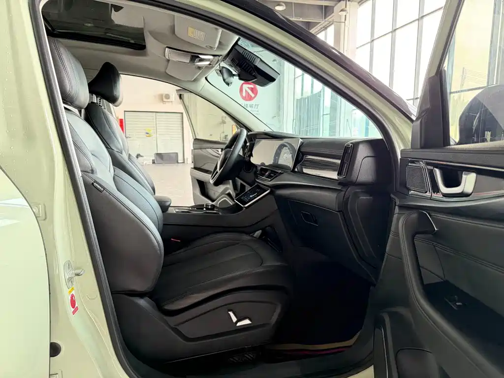 Weltmeister W6 2021 2021 520km NEX Explorer Edition