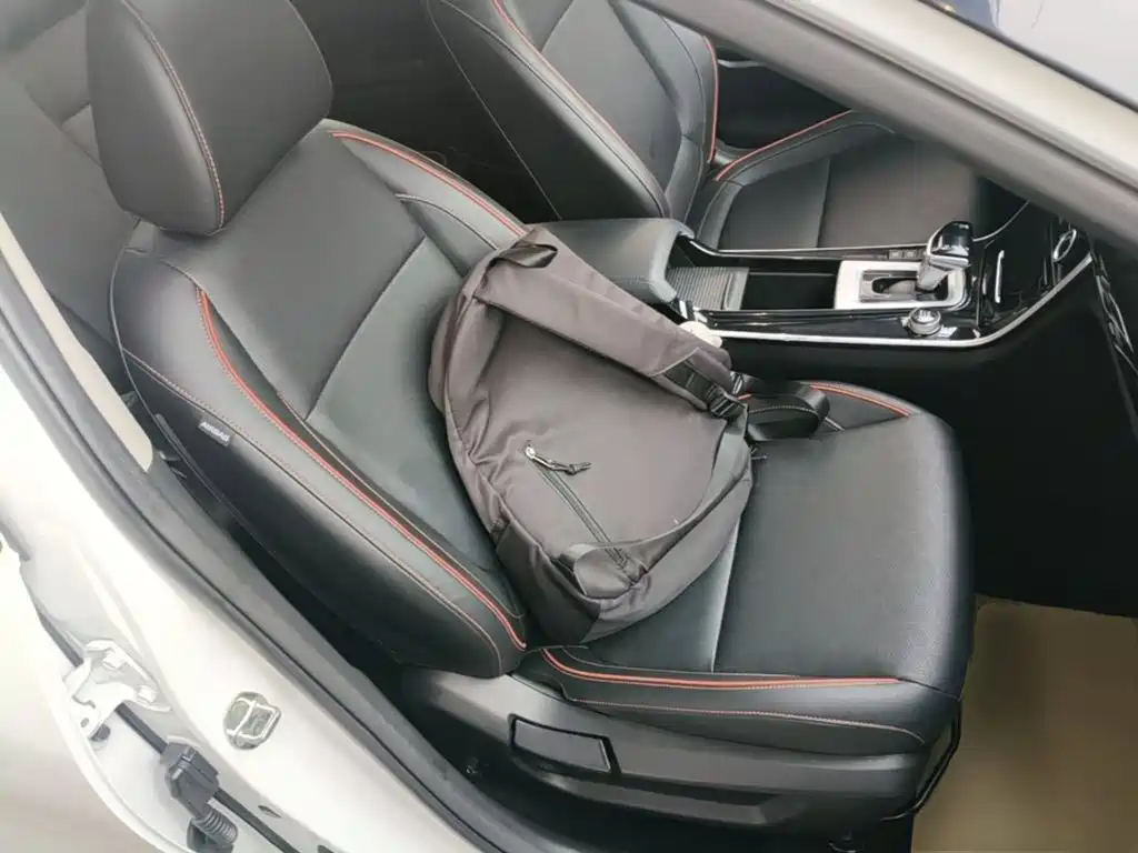 Kia Seltos 2024 2023 1.5L CVT Luxury Edition