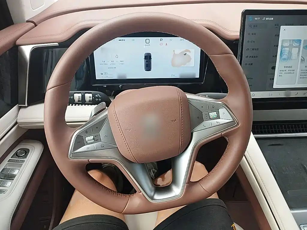 BYD Xia 2025 2025 DM-i 1.5T 180km Excellence