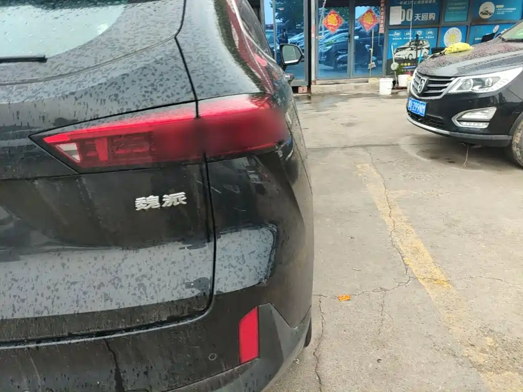 WEY Macchiato DHT-PHEV 2022 2021 1.5L Master Edition