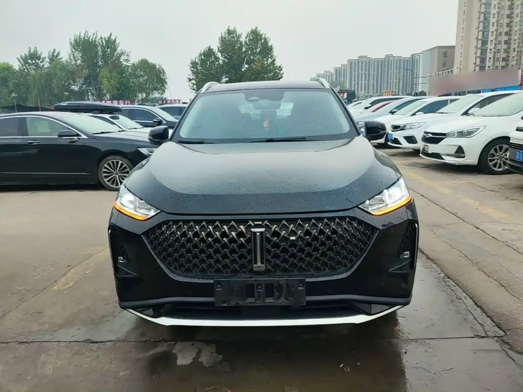 WEY Macchiato DHT-PHEV 2022 2021 1.5L Master Edition