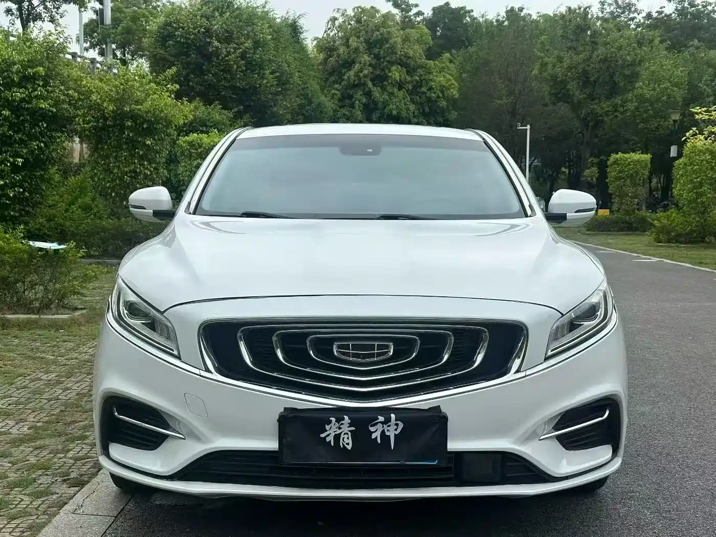 Фото 2 - Geely Borui