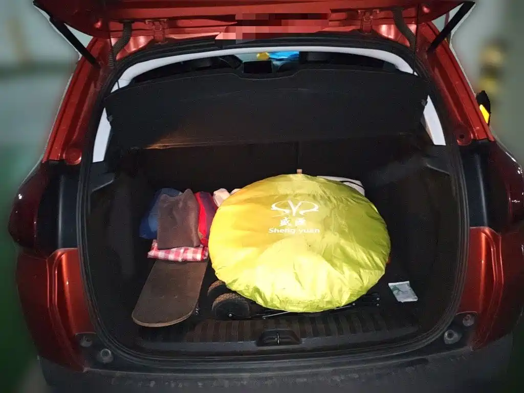 صورة 10 - Peugeot 2008