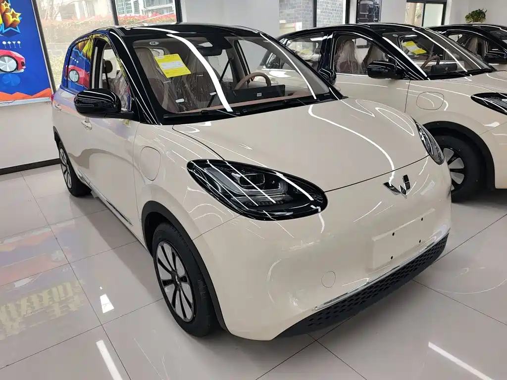 Wuling Motors Wuling Bingo 2026 2025 Model 333km Joy Edition