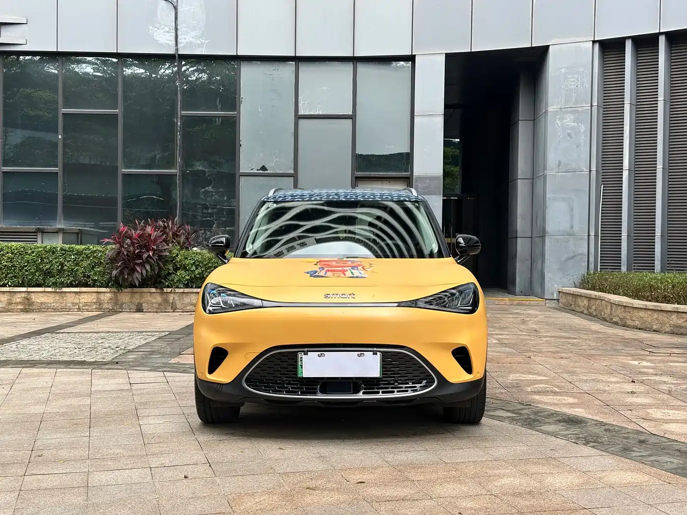 smart Elf #1 2025 2026 Agile New Luxury Edition