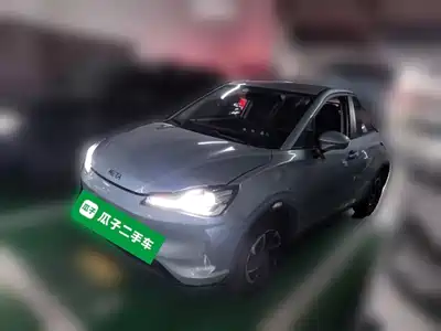 Neta V
