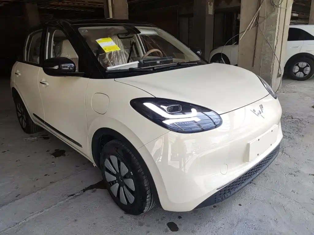 Wuling Motors Wuling Bingo 2026 2025 Model 333km Joy Edition