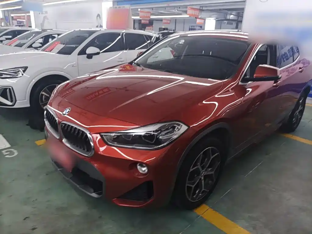 BMW X2 (Import) 2019 2019 sDrive20i M Off-Road Package China VI