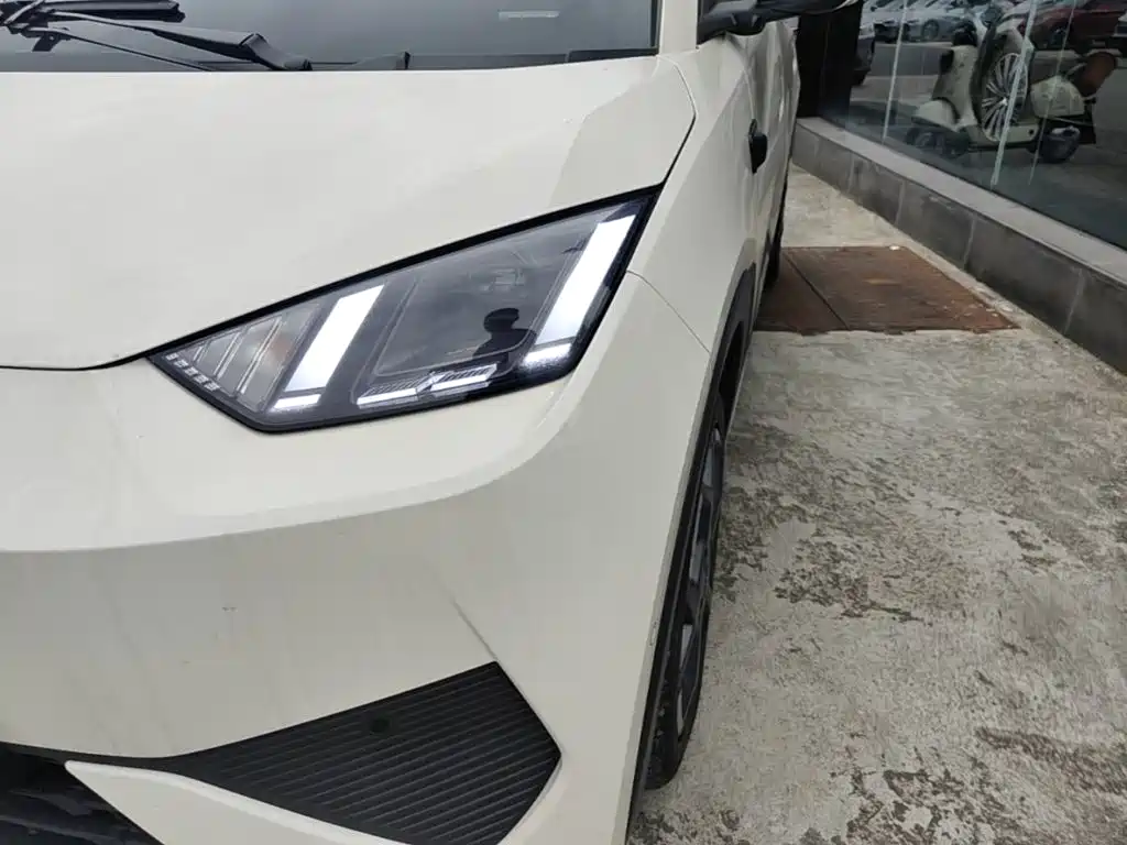 BYD Seagull 2026 2025 305km Vitality