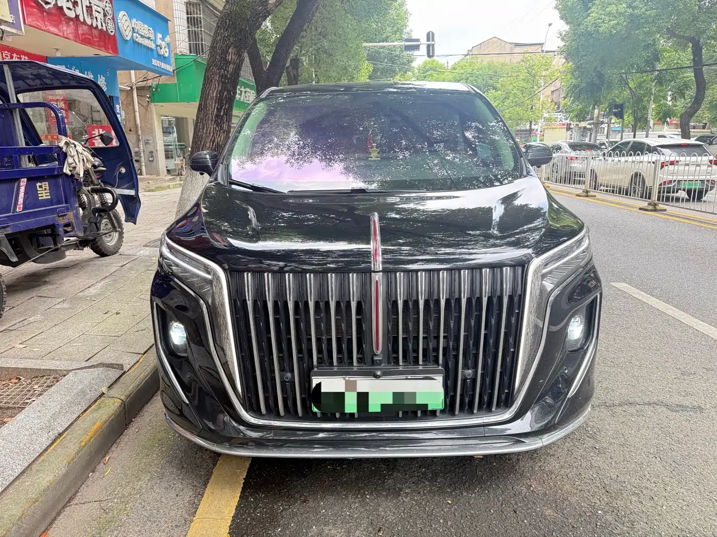 Hongqi HQ9 PHEV 2025 2024 Model 2.0T AWD Business Edition