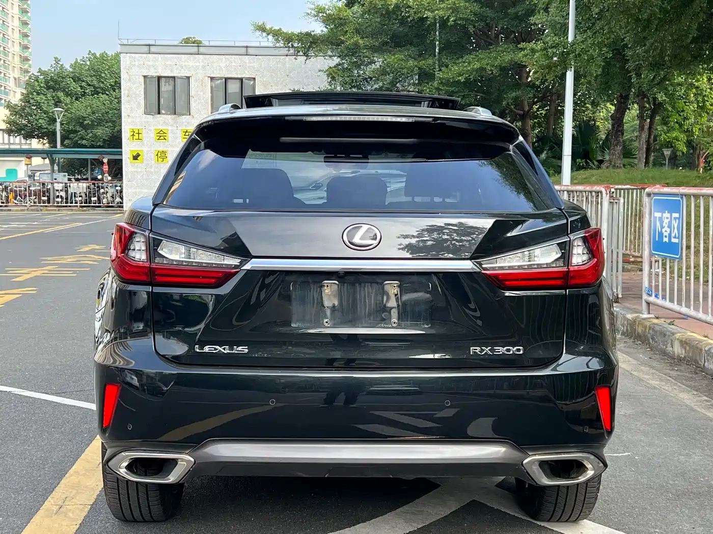 Lexus RX 2016 300 4WD Elegance Edition (China V) фото 3