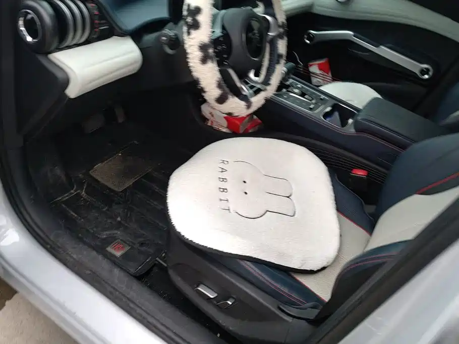 BYD Yuan PLUS 2022 2022 510KM Premium