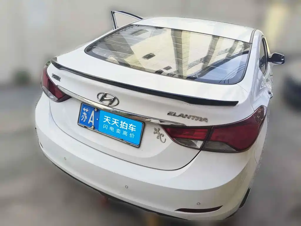 صورة 2 - Hyundai Langdong