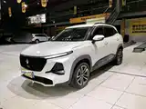 Фото 1 - Baojun RS-3