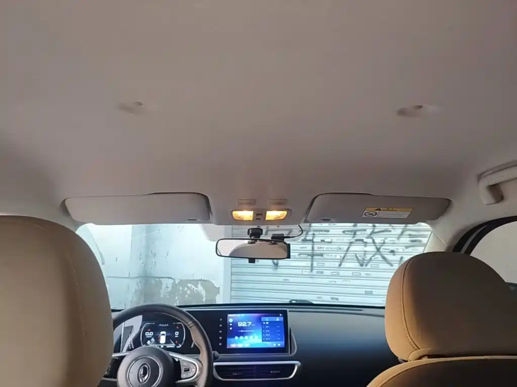Ora White Cat 2020 2020 305km Luxury