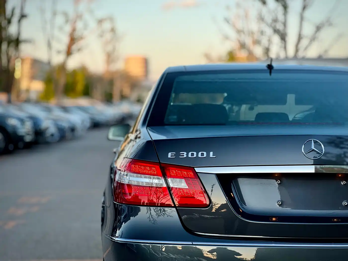 Mercedes-Benz E-Class 2010 E 300 L Fashion фото 43