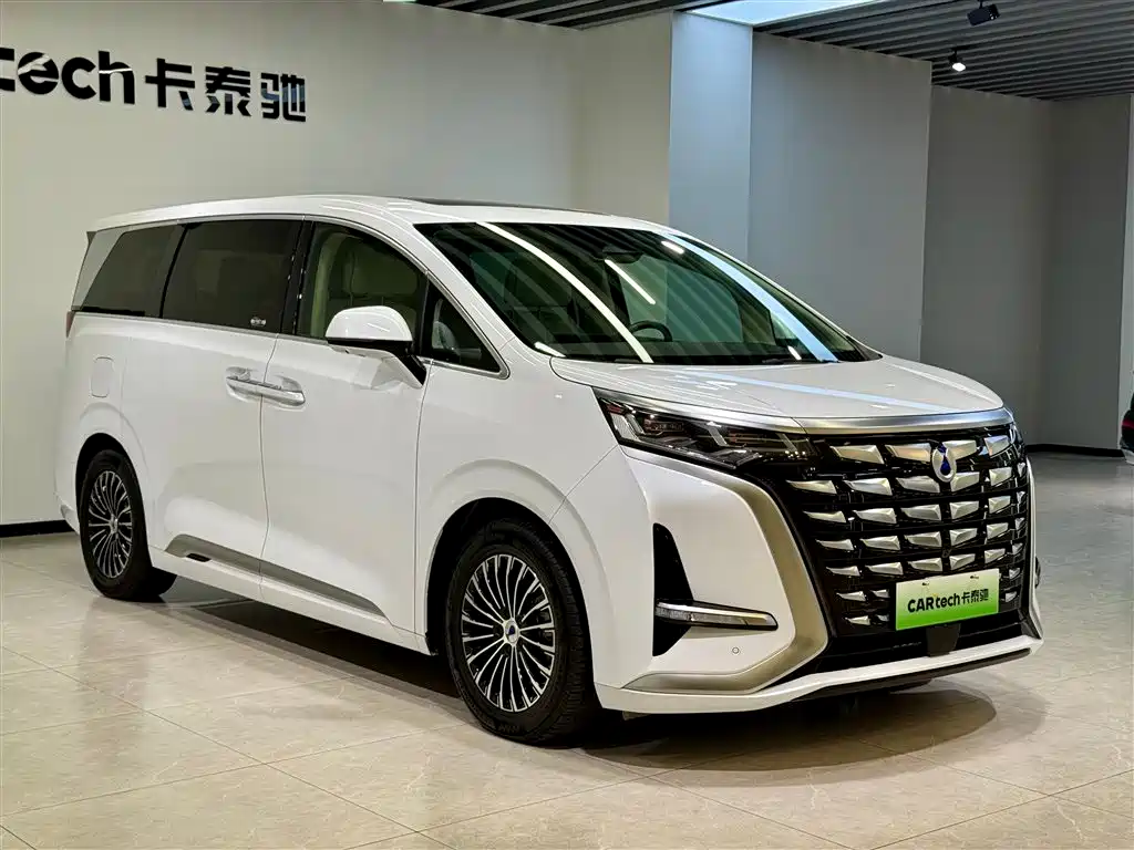 Denza D9 2024 DM-i 980 AWD Prestige фото 5