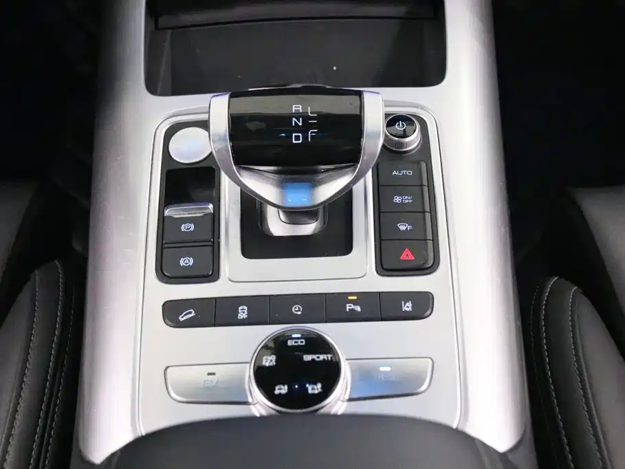 Denza X 2021 2020 Model PHEV Flagship Edition