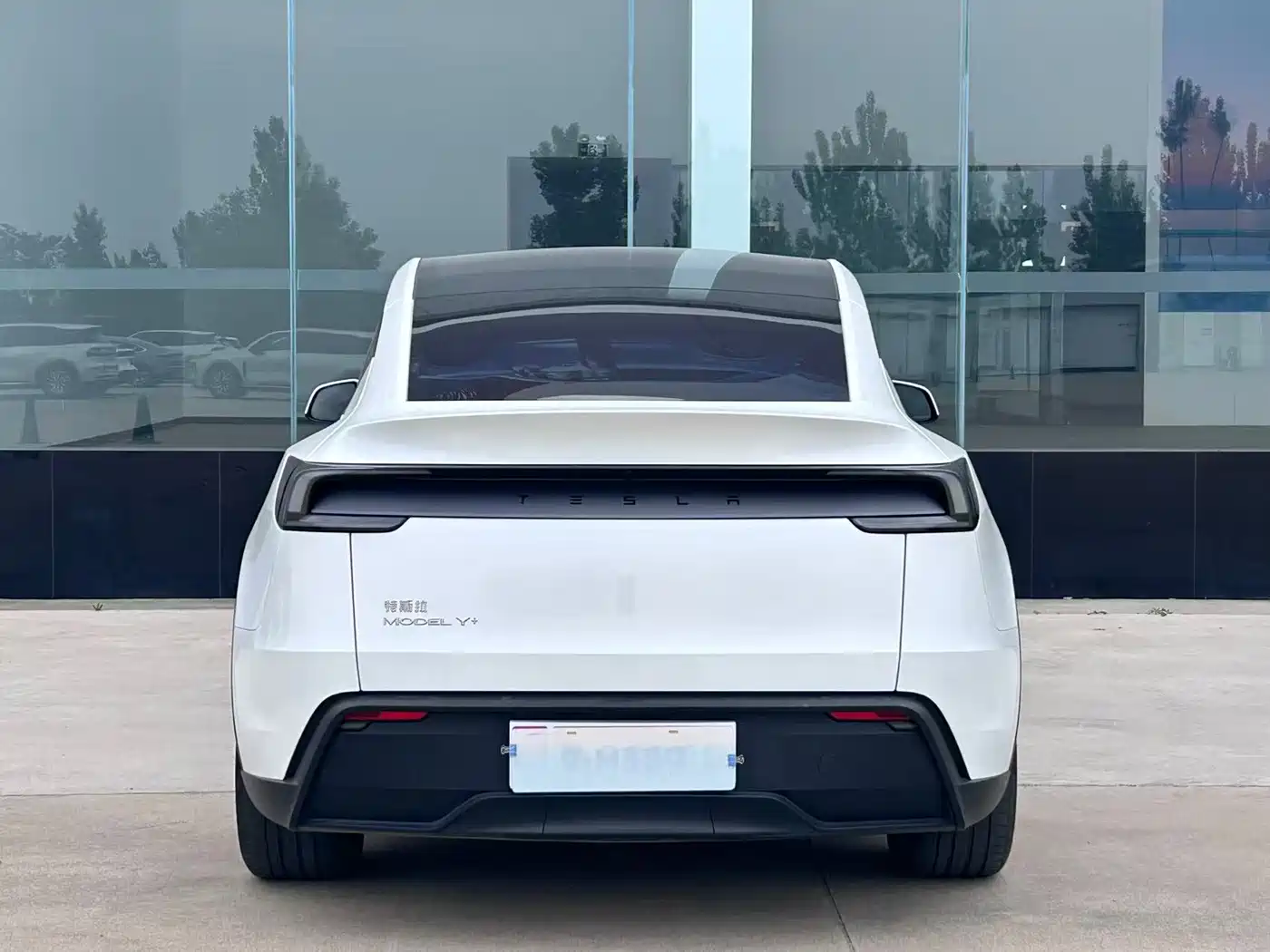 Tesla Model Y 2025 Model Long Range All-Wheel Drive Launch Edition фото 9