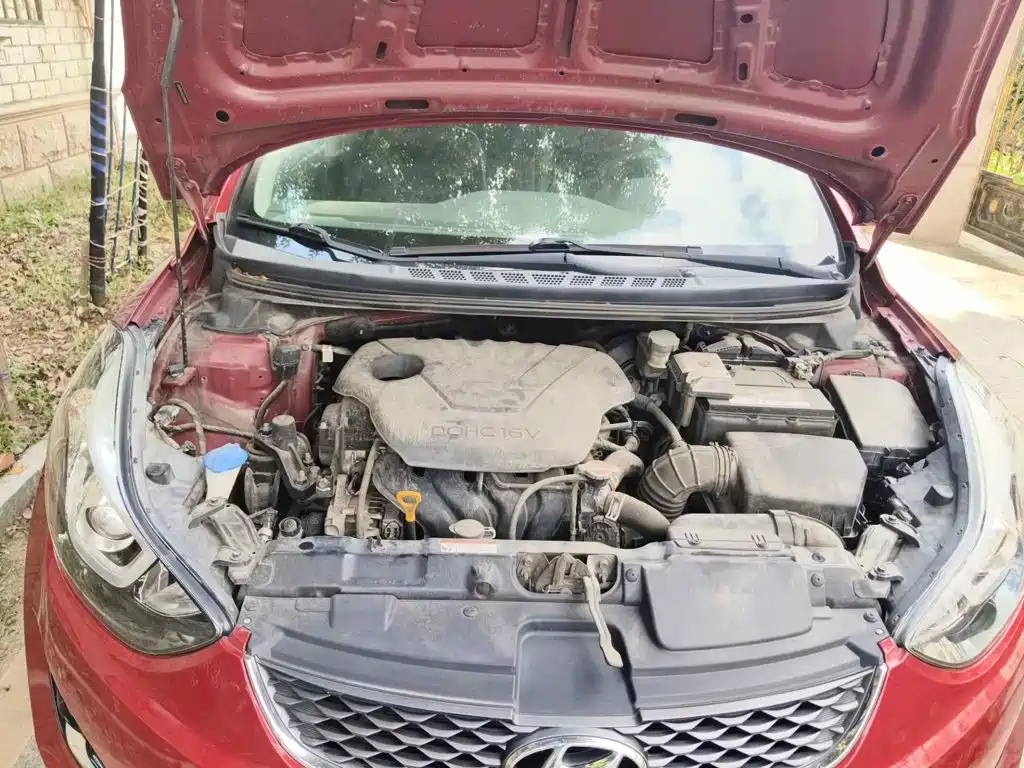 Hyundai Langdong 2017 2016 1.6L Automatic Premium Edition