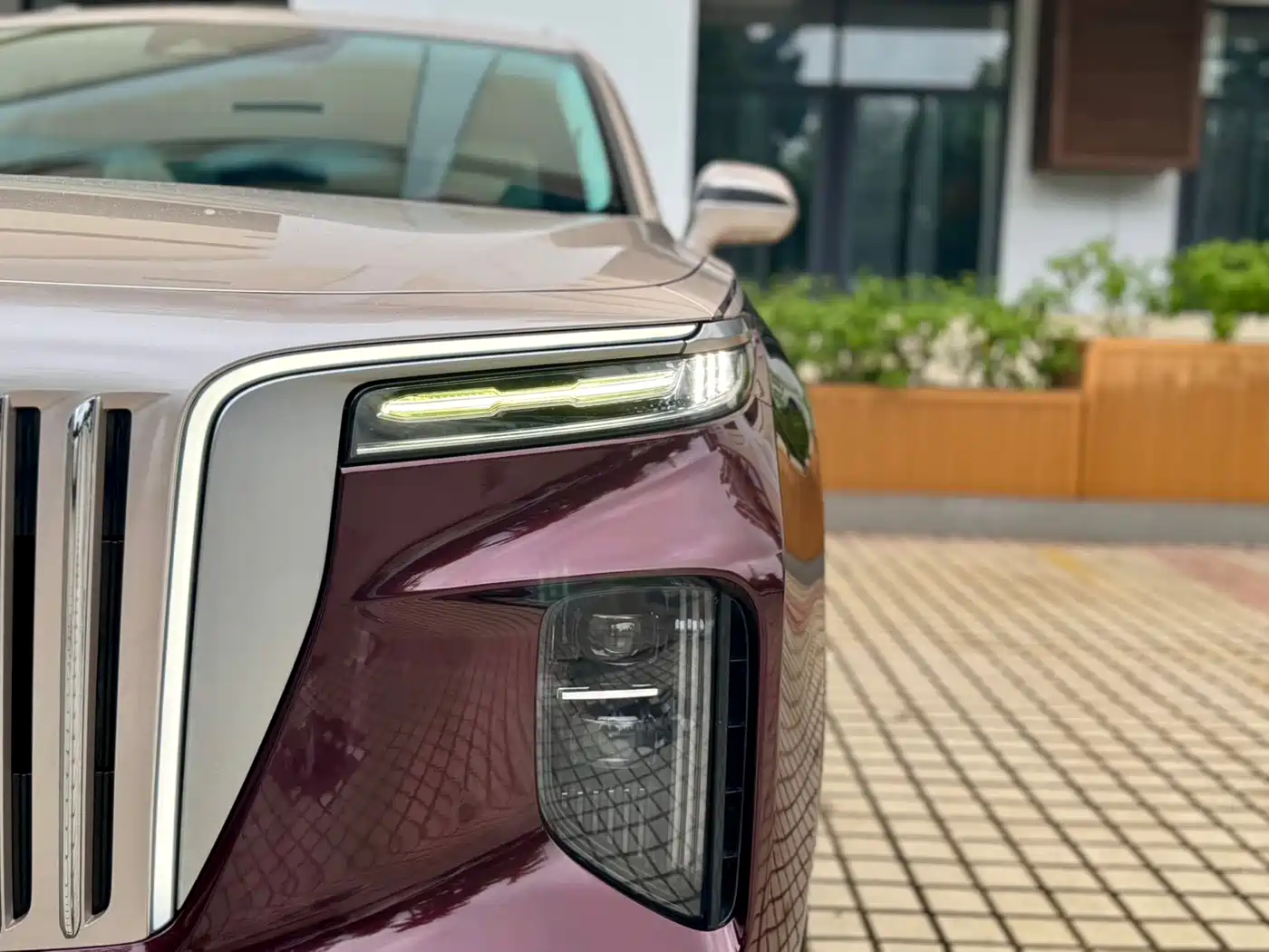 Hongqi E-HS9 2021 2021 510km Flagship Edition 4-seater