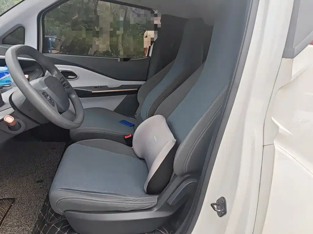 Baojun E200 2020 2020 305KM Smart Edition