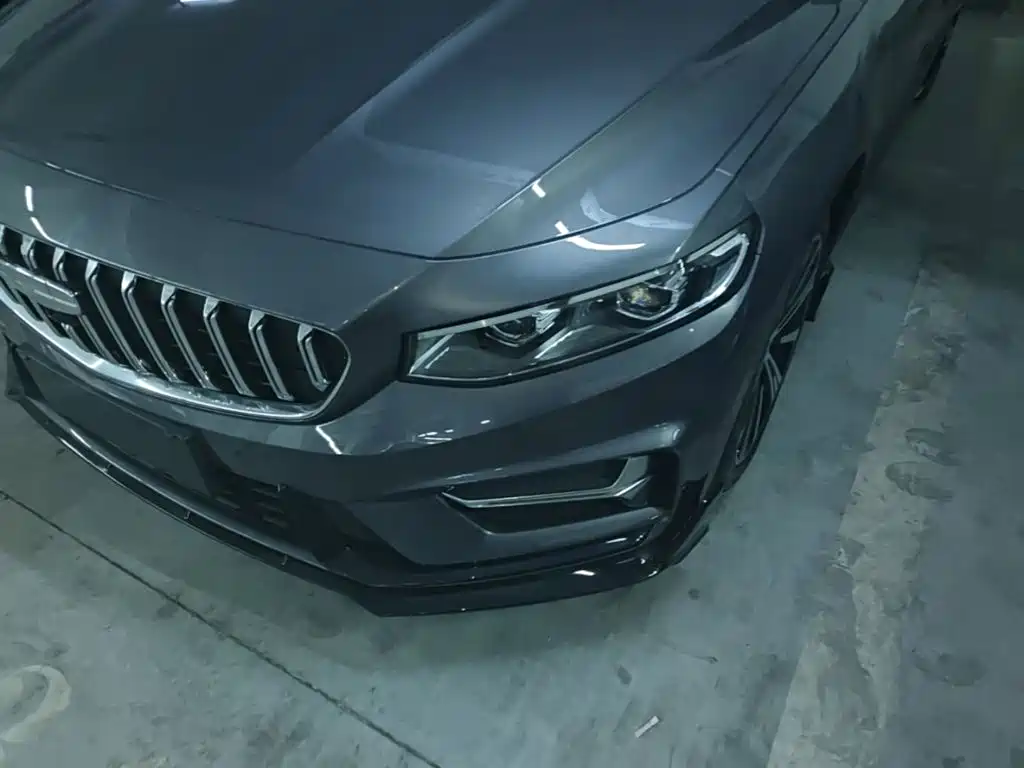 Фото 24 - Geely Preface