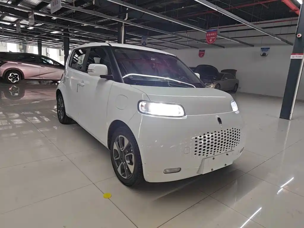 Ora White Cat 2021 2020 305km Luxury