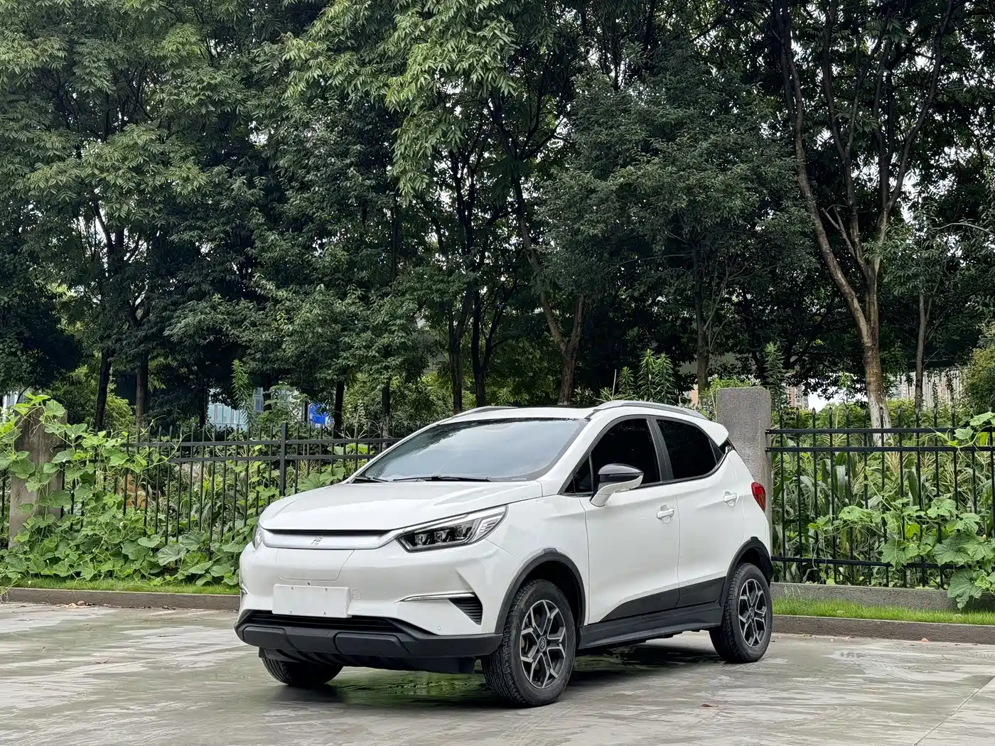 BYD Yuan Pro 2022 2021 401KM Premium Model