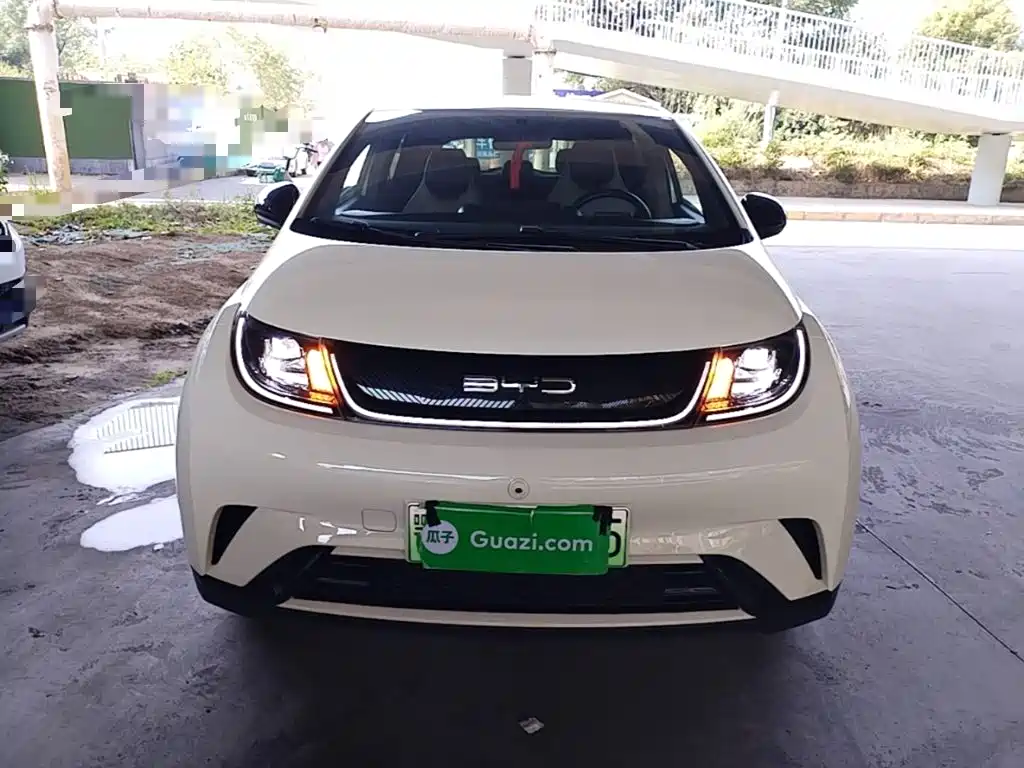 Фото 3 - BYD Dolphin