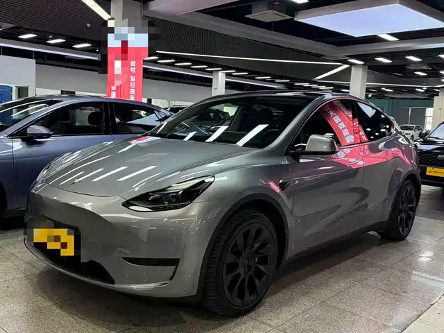 Tesla Model Y 2024 Rear-Wheel Drive Version