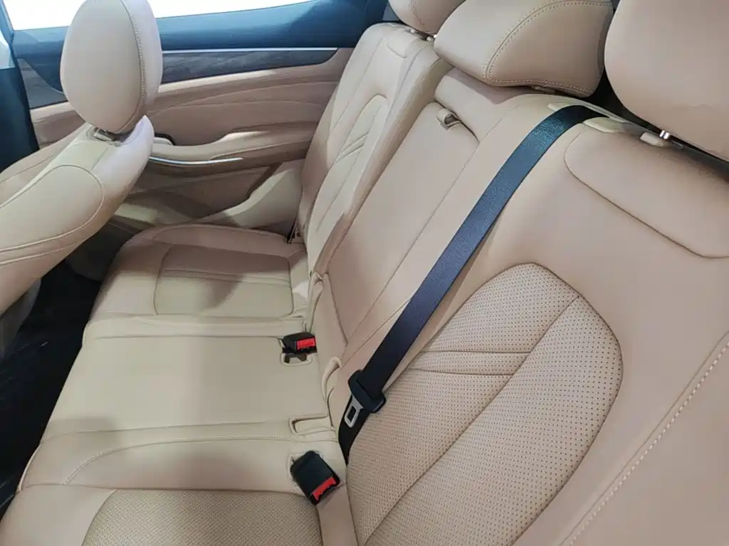 Landian E5 2024 2023 1.5L DE-i 100KM Premium 7-Seater