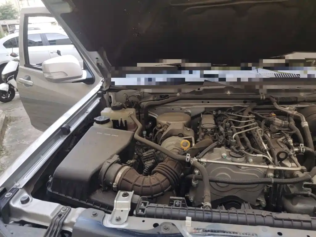 Dongfeng Ruiqi 2024 2023 2.4T Diesel 2WD Startup Long Cargo Box YCY24165-61