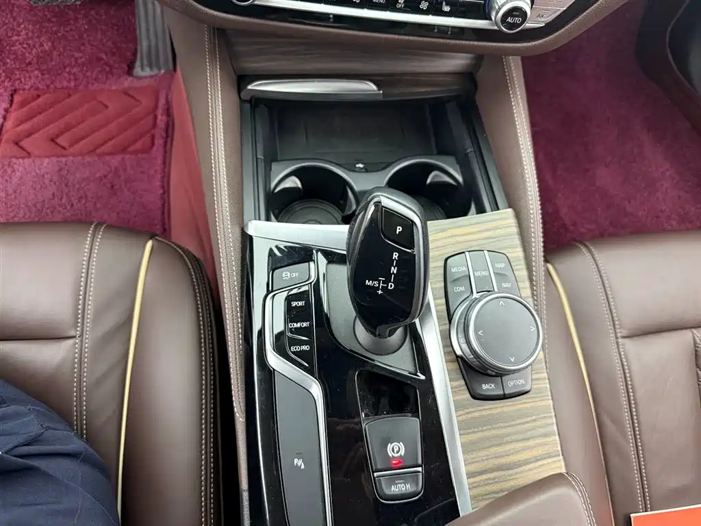 BMW 5 Series 2020 530Li Leading Luxury Package фото 9