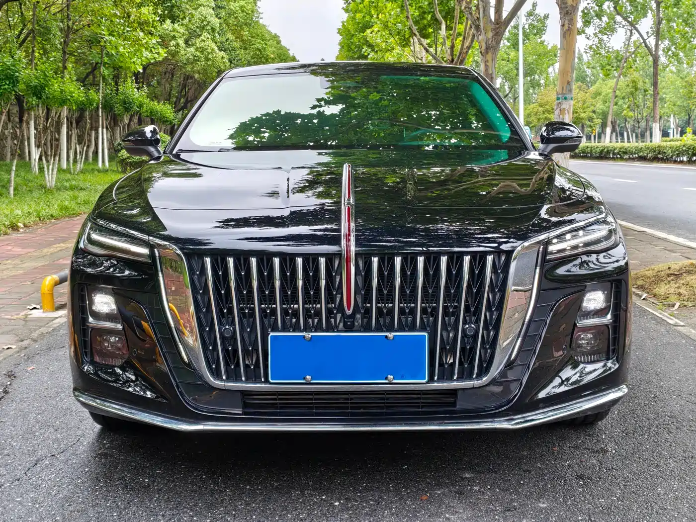 Hongqi H5 2025 2025 2.0T Automatic Flag Celebration 500,000 Units Anniversary Edition