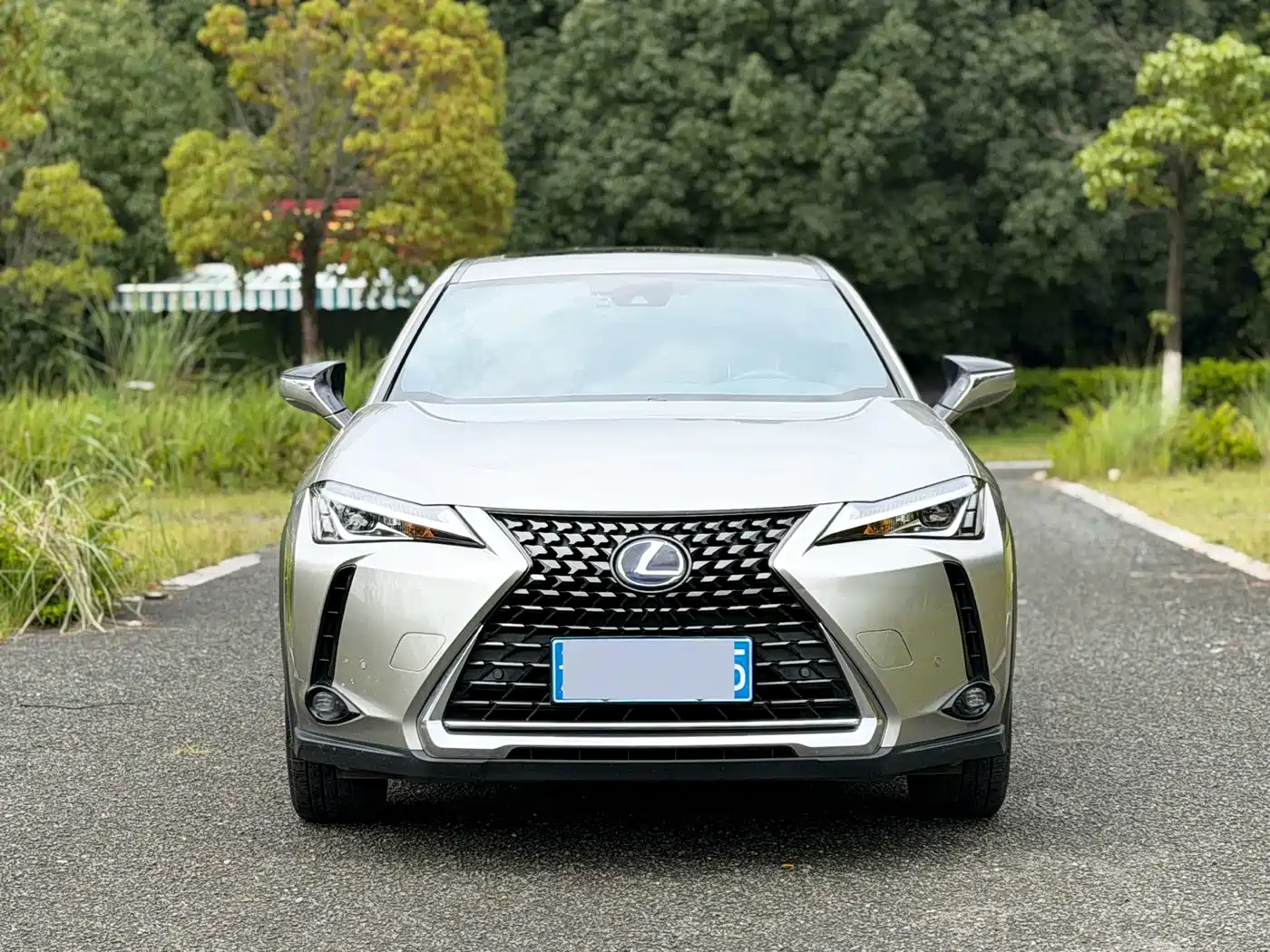 Lexus UX 2021 2020 260h Explore Fun Edition China V