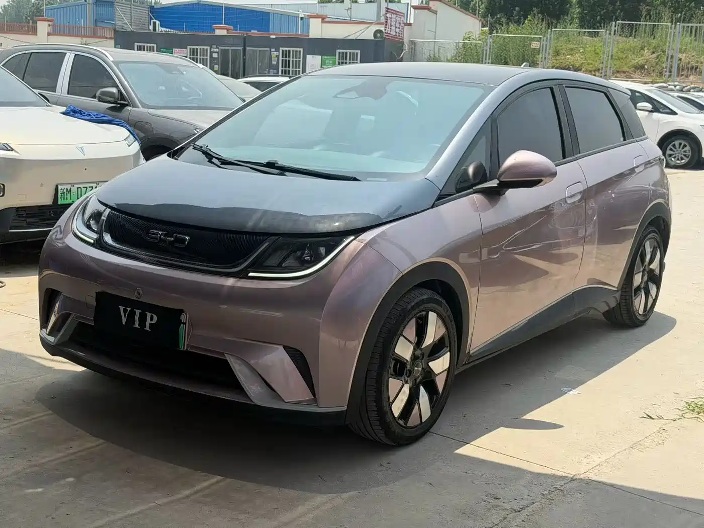 BYD Dolphin 2021 401km Knight Edition